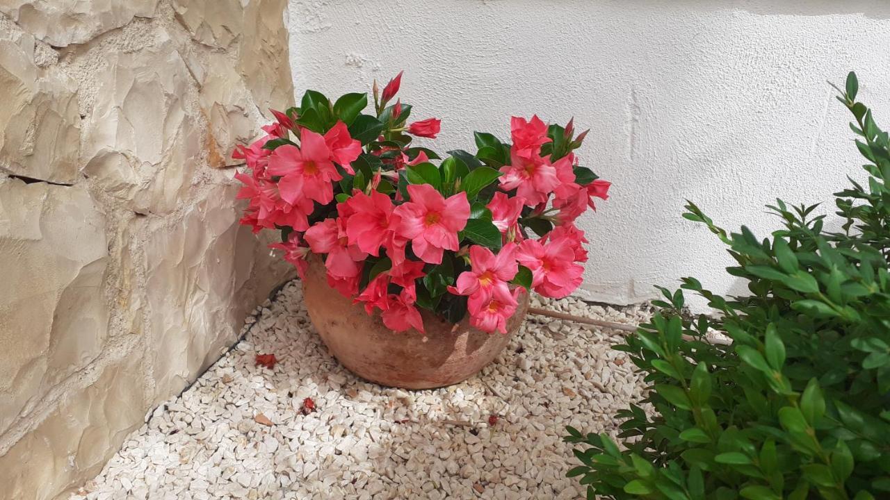 Apartman Nina Vodice Dış mekan fotoğraf